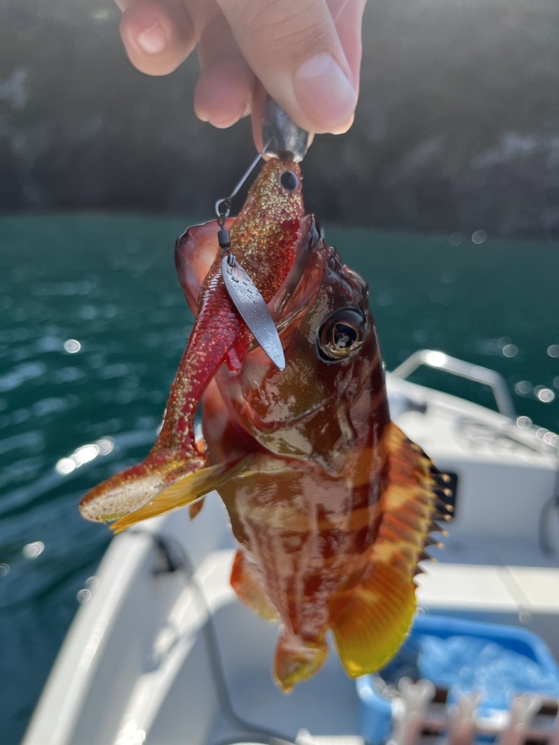 ボートロック釣行