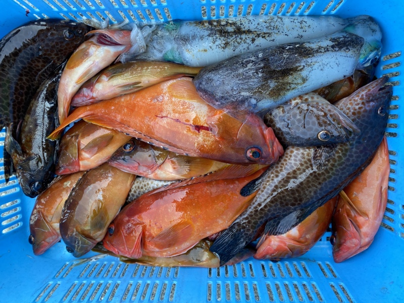 ボートロック釣行