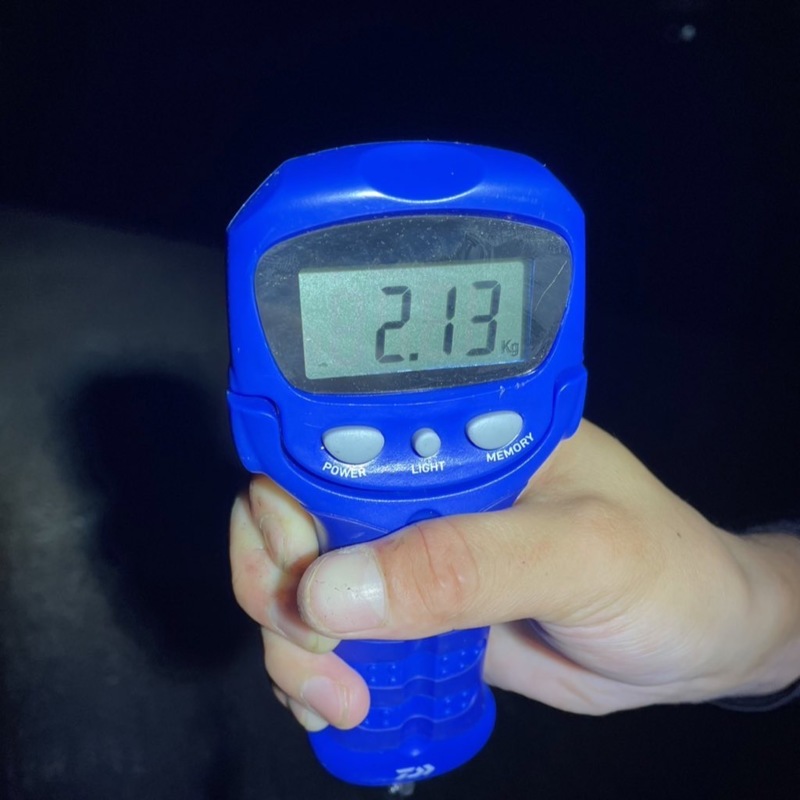 遂に出た❗️夏モンスター🦑