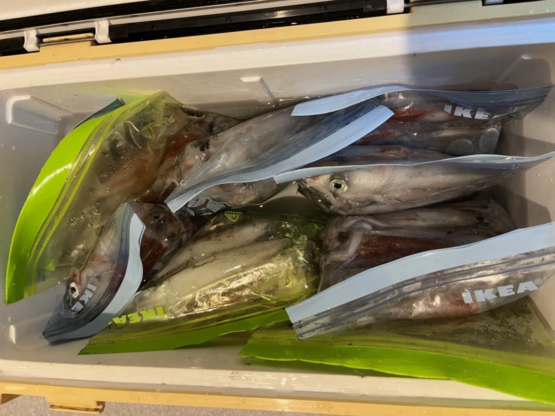 若狭大島のマイカ情報