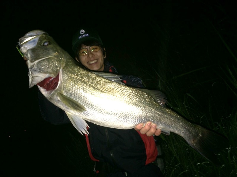大阪府淀川|ルアーでシーバス釣り