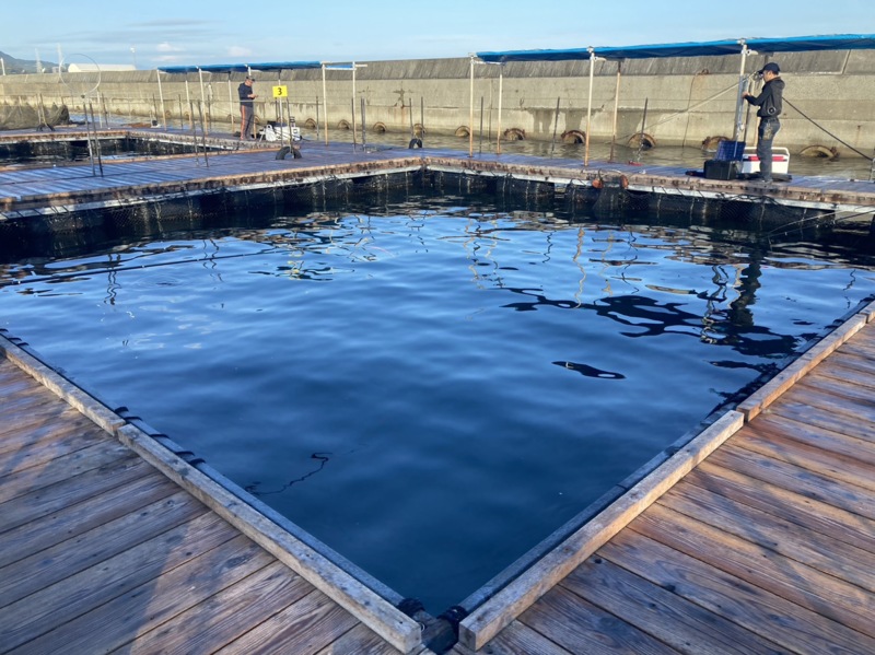 初めての海上釣り堀