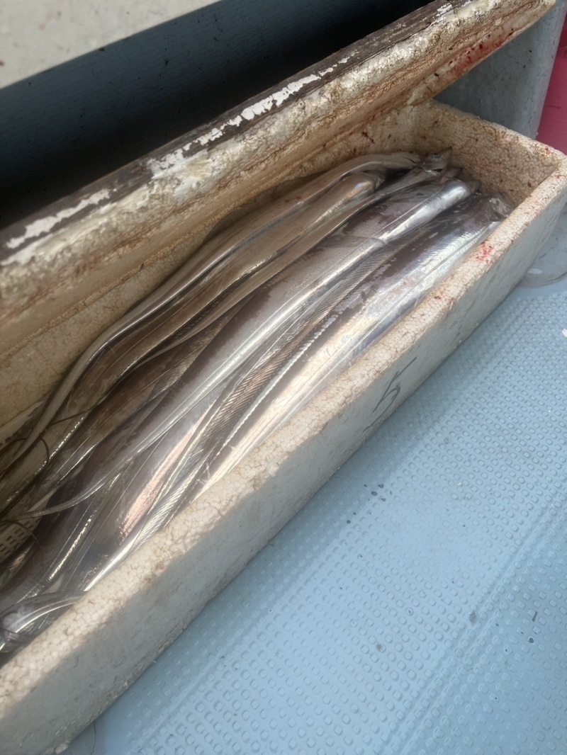 船タチウオテンヤ釣行