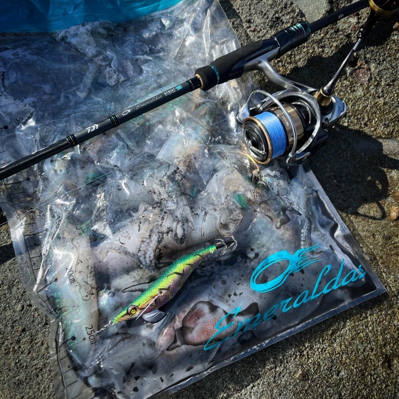 越前海岸デイエギングも熱い!