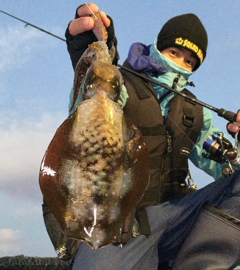 秋エギング2日目‼️更にええ感じに‼️