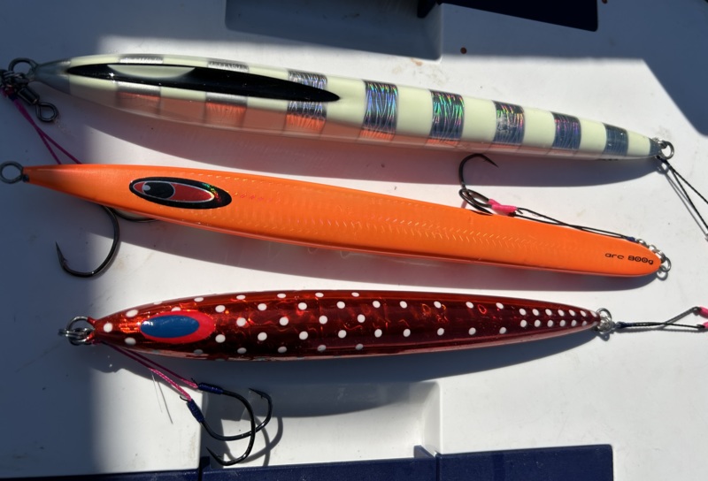 新島キンメジギング