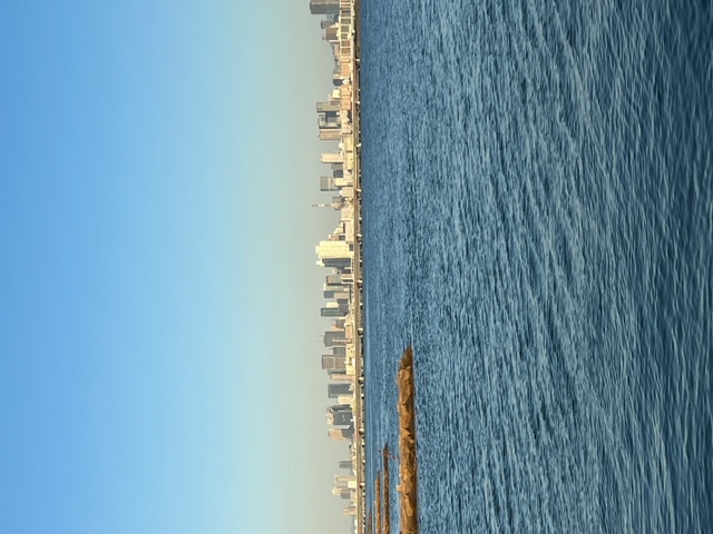 アーバンフィッシング淀川ハゼ2