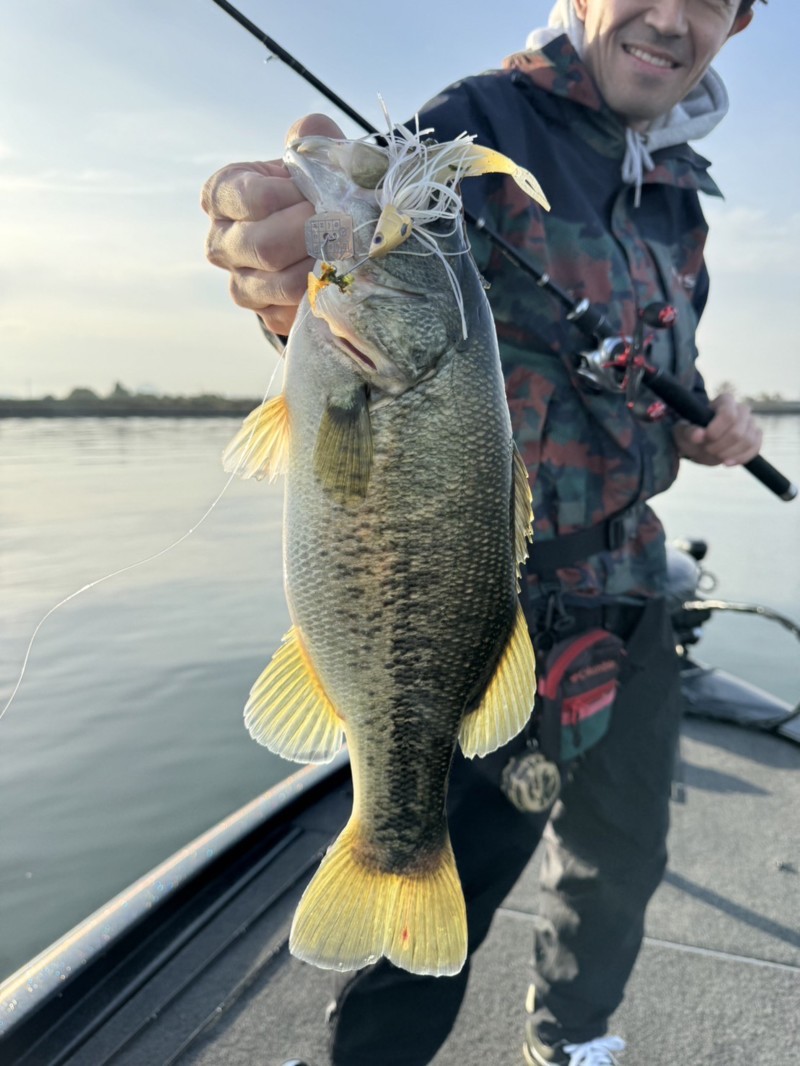 秋の琵琶湖!巻きまくりツアー!