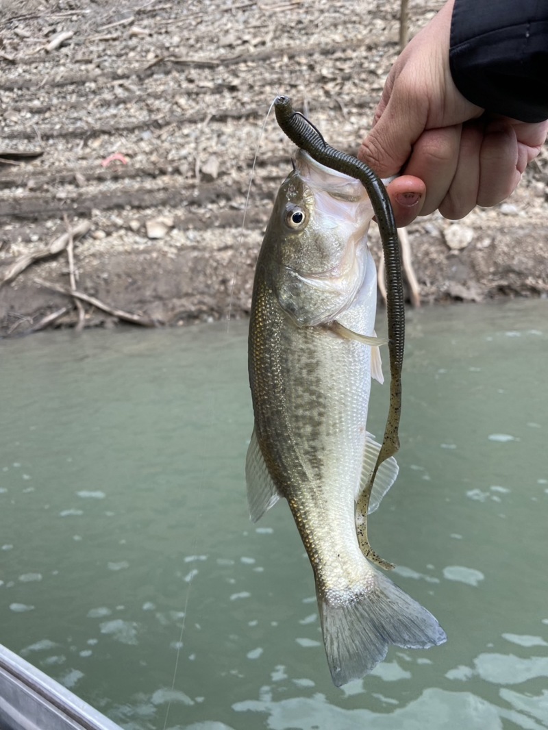 リザーバー釣行2