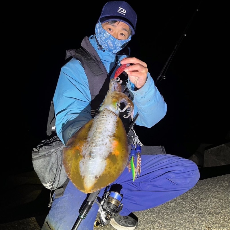 晩秋の三重エギング!またまたキロアップ♪