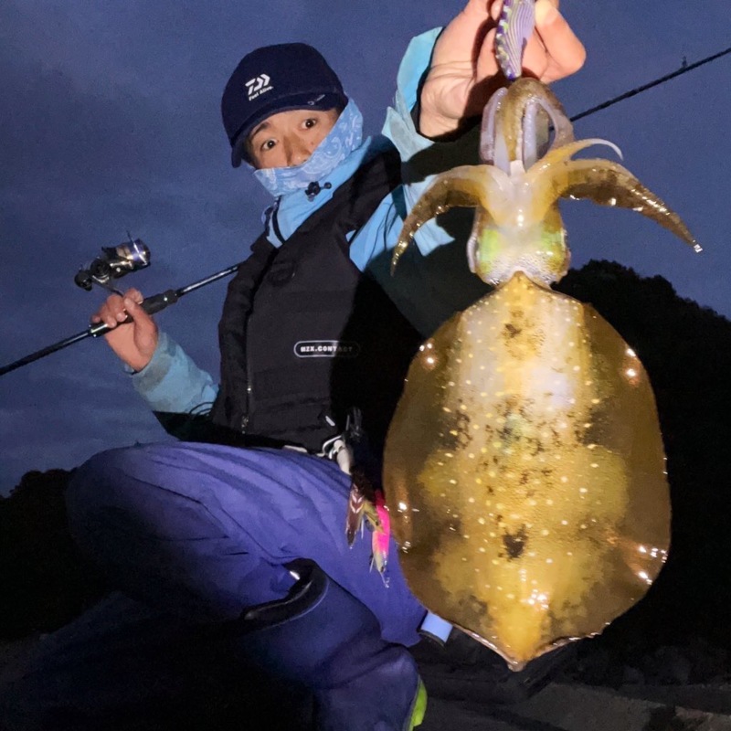 晩秋の三重エギング!またまたキロアップ♪