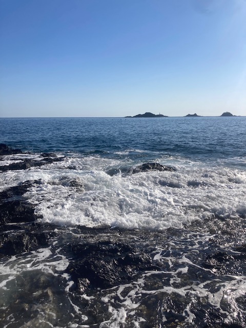 大型石鯛警報発令中!