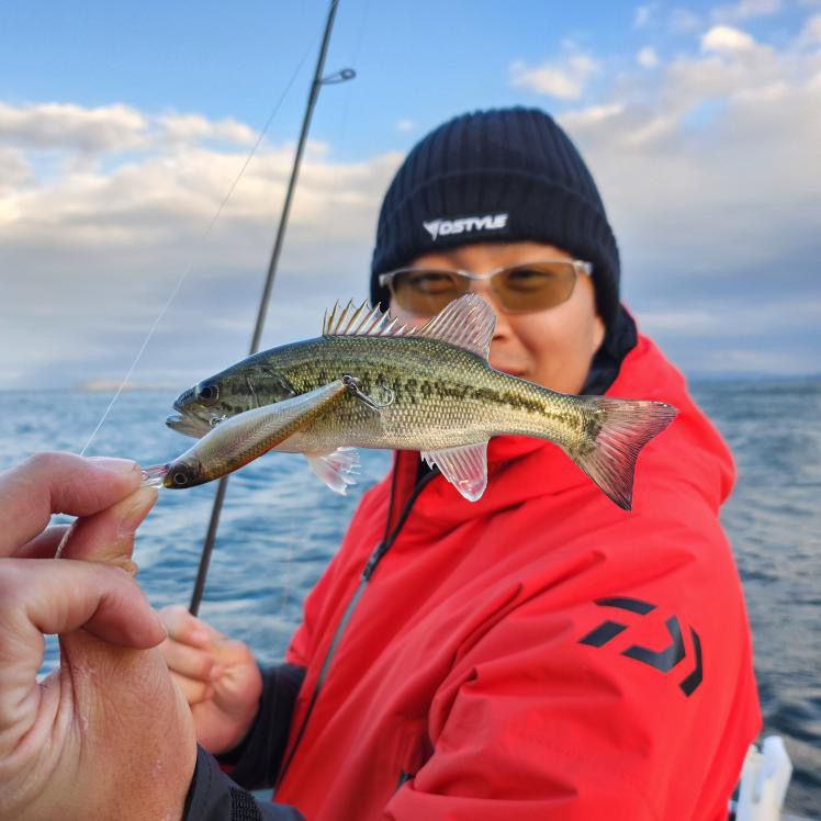 琵琶湖 福本ガイドサービス