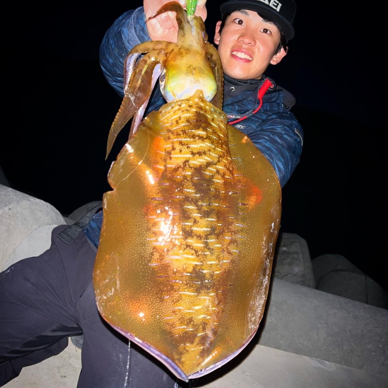 11月晩秋エギングX DAY‼️