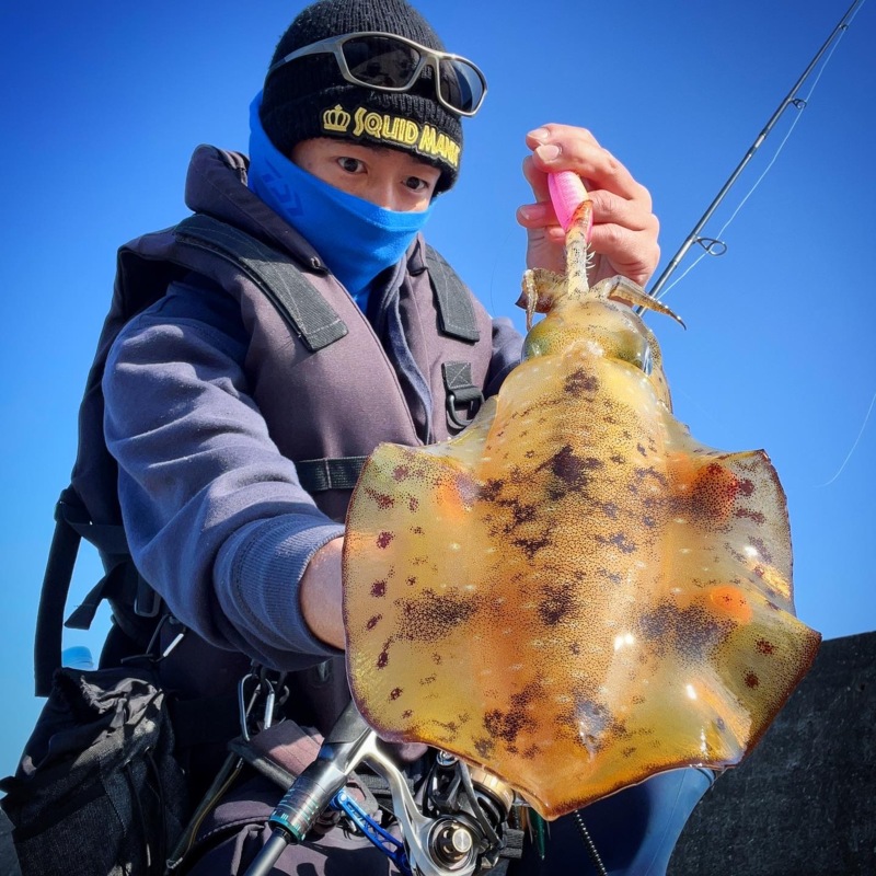 11月晩秋エギングX DAY‼️