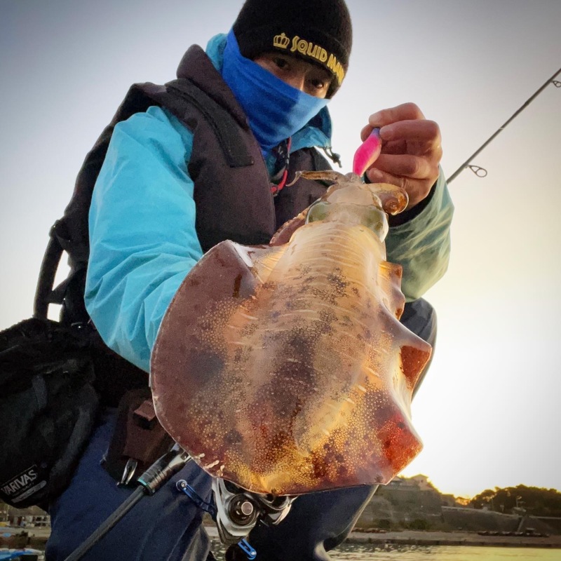 11月晩秋エギングX DAY‼️