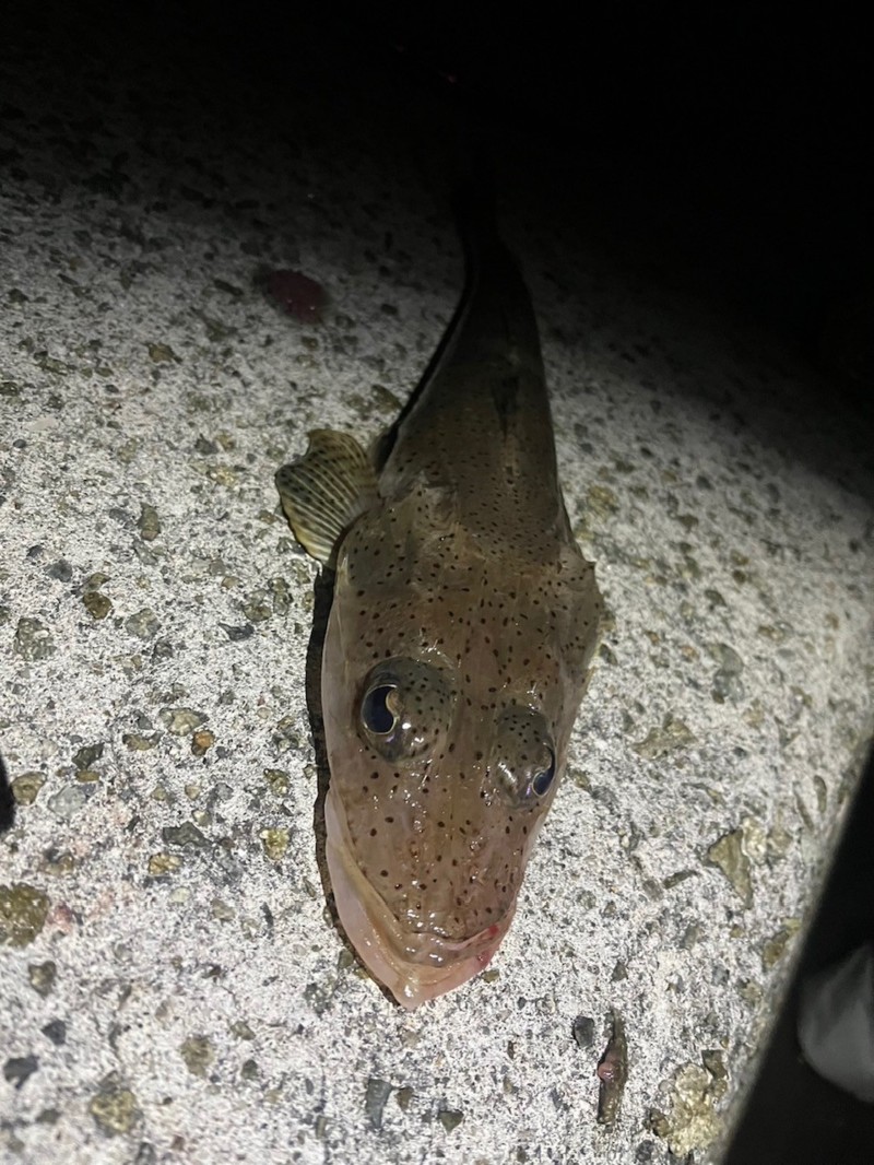 〜淡路島に癒される〜