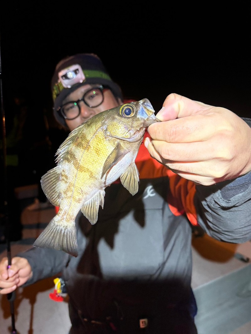 大阪湾ボートアジング&ボートメバル開幕!?