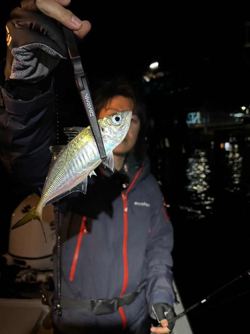 大阪湾ボートアジング&ボートメバル開幕!?