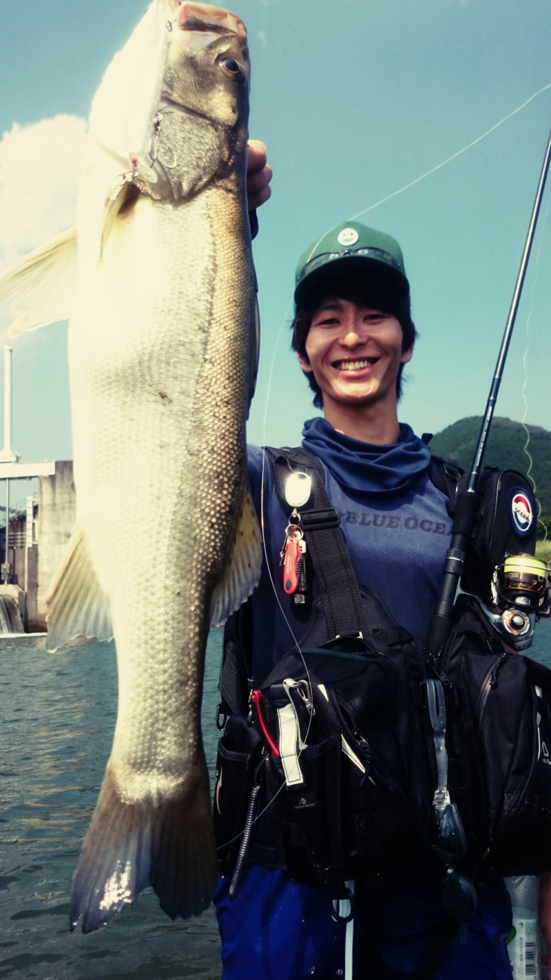 「高知県」四万十・宿毛市|ルアー・シーバス釣果