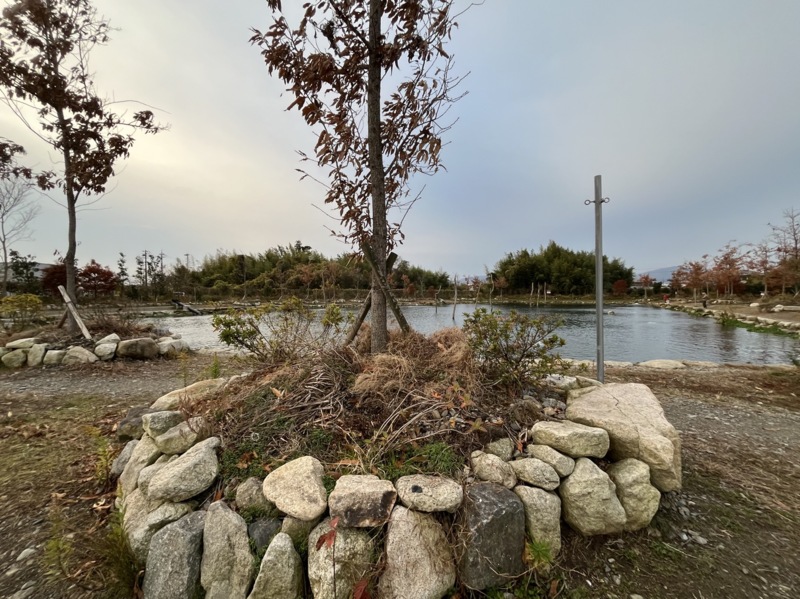 癒しのターゲット