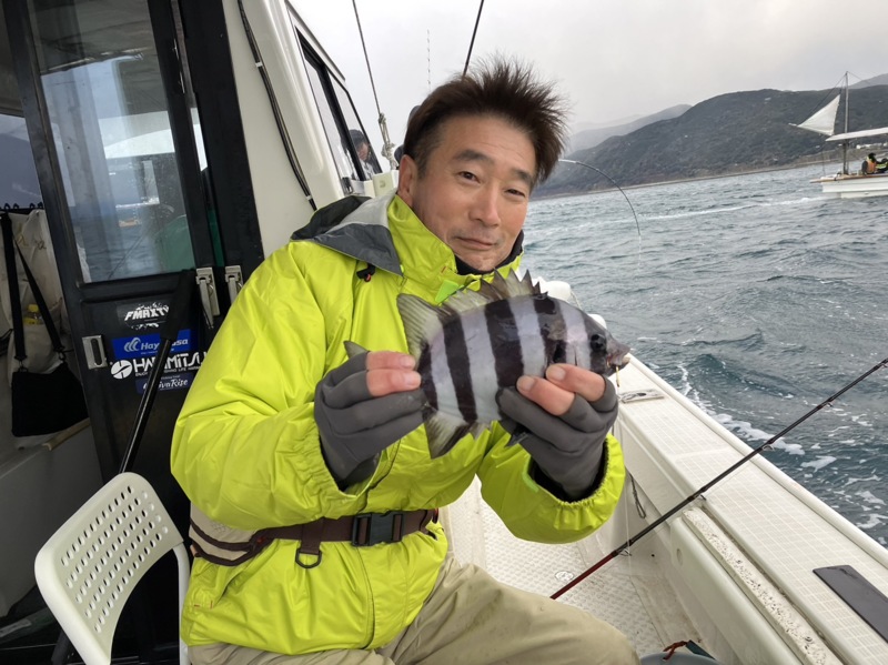 淡路由良のサンバソウ