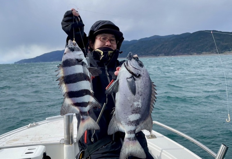 淡路由良のサンバソウ