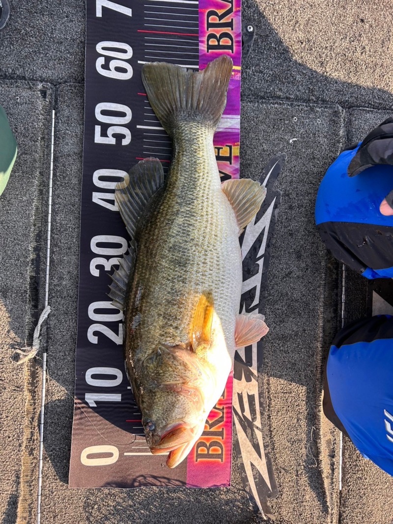 真冬のロクマル!