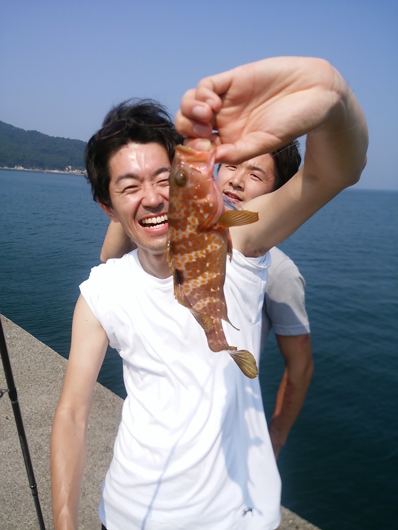 京都府舞鶴市小橋|日本海ちょい投げでアコウ釣り