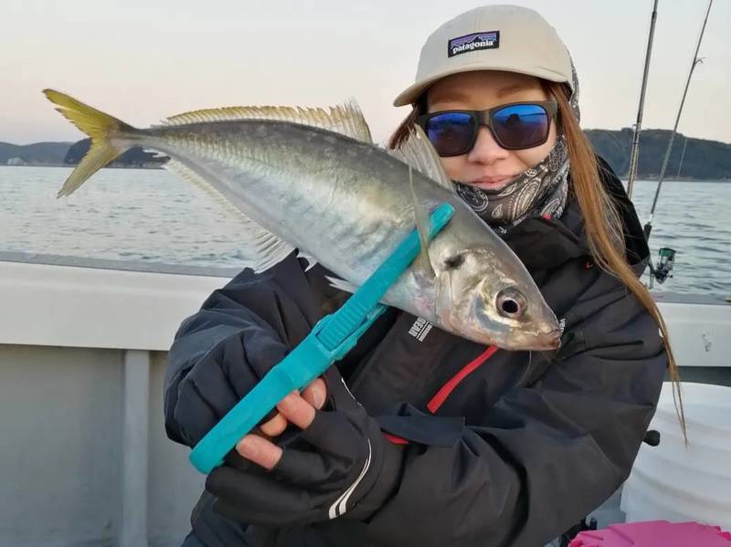 白墨丸 アジ絶好調