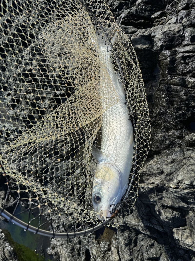 人生初磯釣りに!!