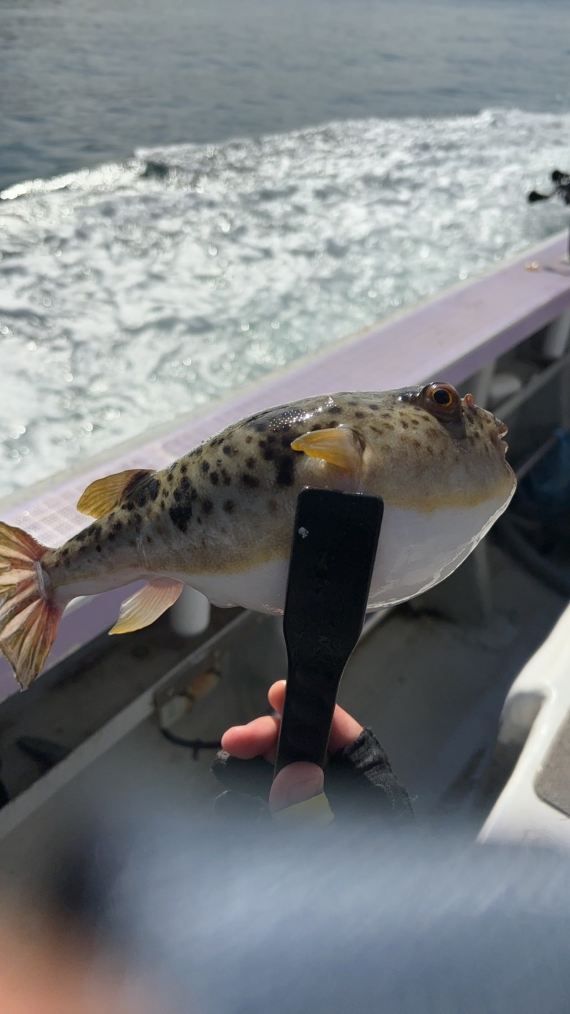 淡路島でカットウ!