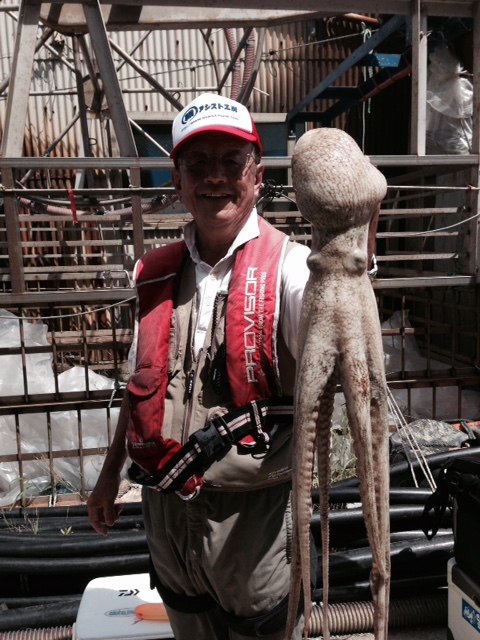 【兵庫県】明石市|丸松乗合船でタコ釣り