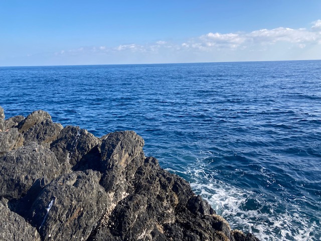 2月の磯からの石鯛釣り