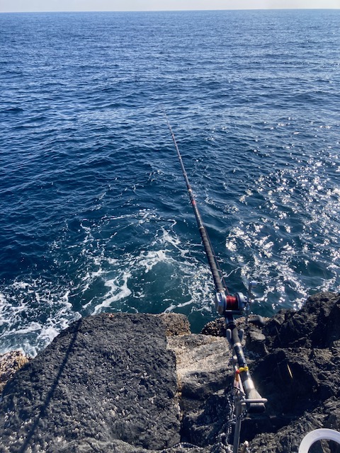 2月の磯からの石鯛釣り
