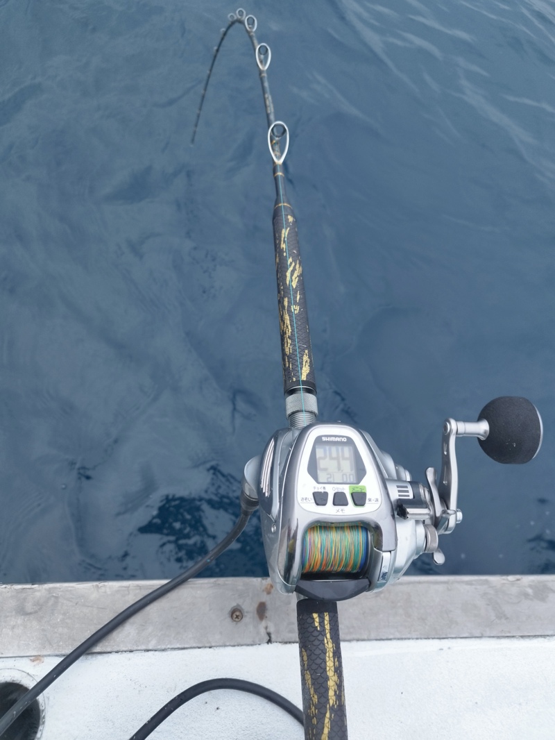 和歌山 寒イサキ