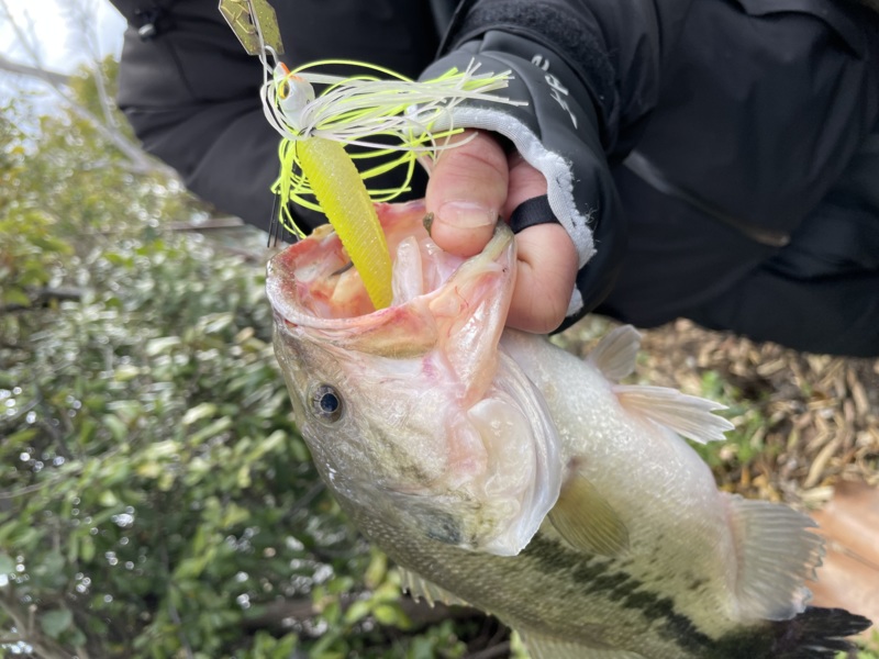 水藻フィッシングセンター釣行