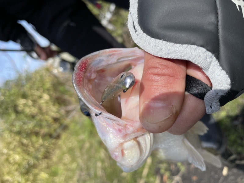 水藻フィッシングセンター釣行