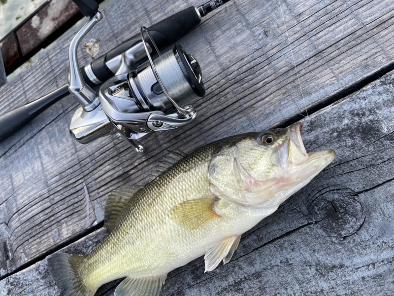 水藻フィッシングセンター釣行