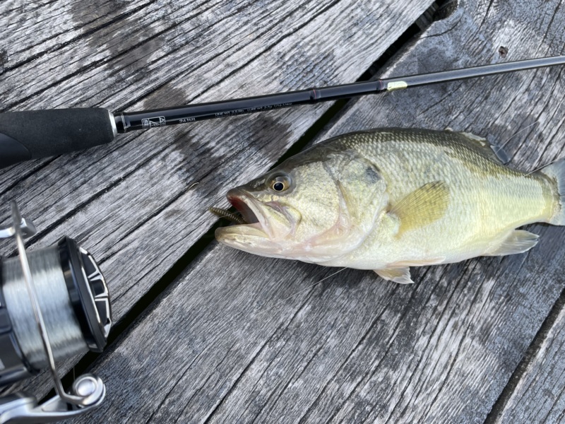 水藻フィッシングセンター釣行