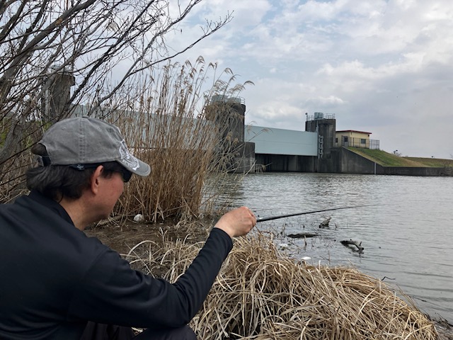 琵琶湖ホンモロコNO4