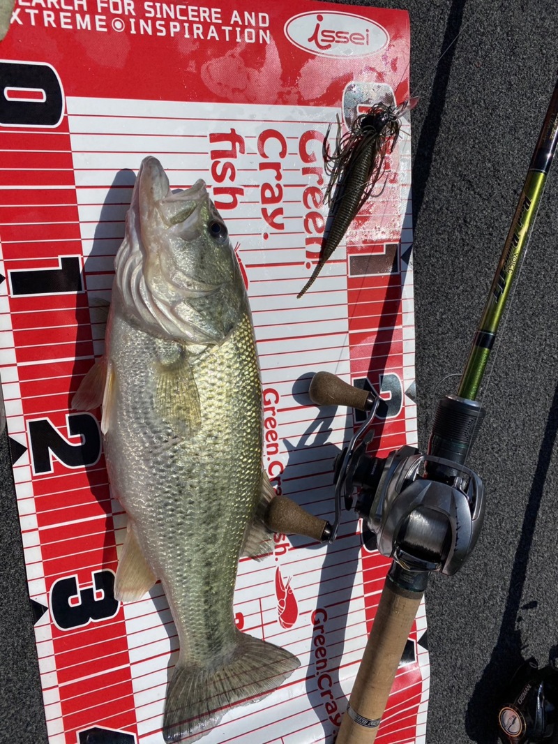 春のバス釣り~ゴンザレスを求めて~