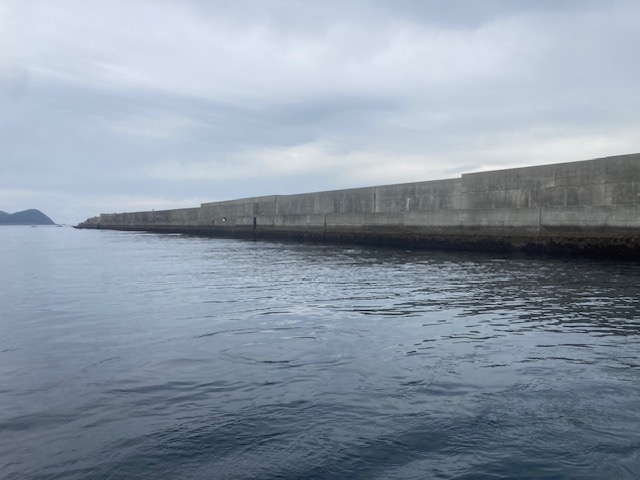 和歌山県 中紀のかぶせ釣りチャレンジ!