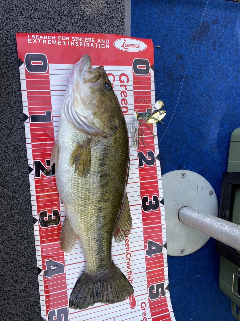 リザーバー釣行2