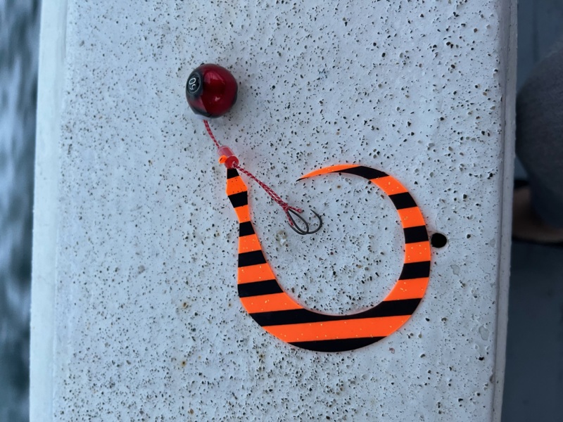 明石アフター真鯛攻略!