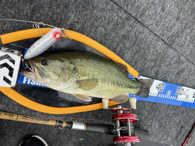 梅雨はトップがチャンス!