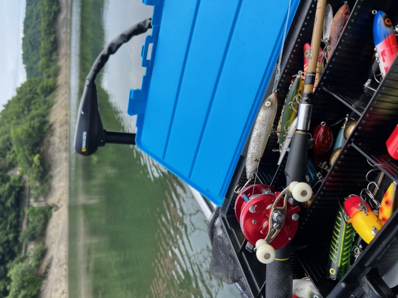 梅雨はトップがチャンス!