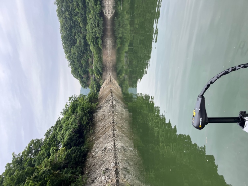 梅雨はトップがチャンス!