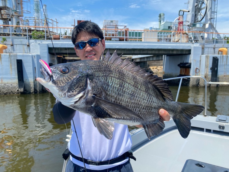 大阪湾でルアーソルトのチヌ釣果