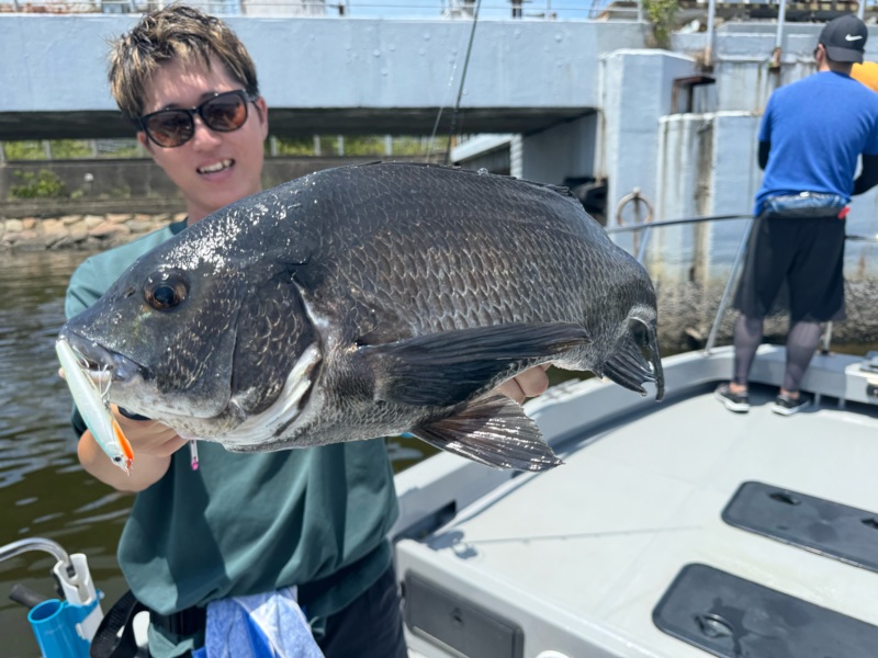 大阪湾でルアーソルトのチヌ釣果